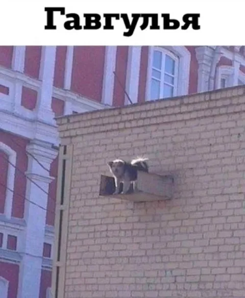Гавгуля на стене