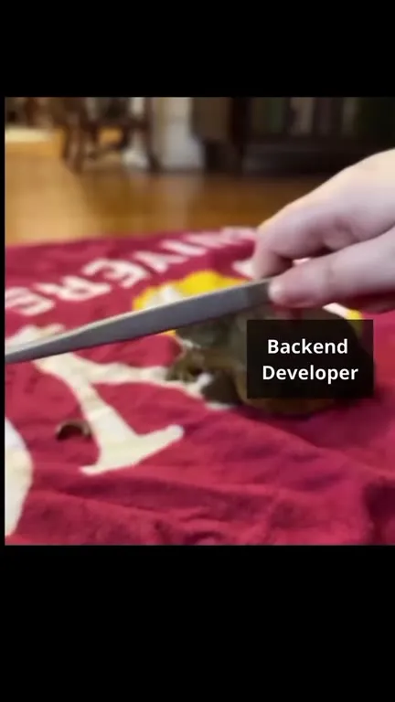 Backend Developer Abandons CSS