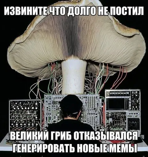 Великий гриб отказался генерировать мемы