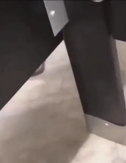 Лапка появляется из ниоткуда