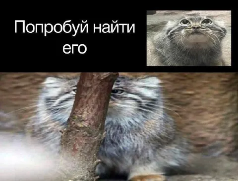 Попробуй найти его