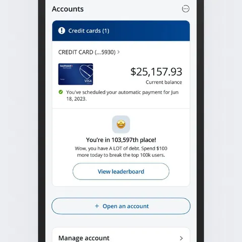 Debt Leaderboard Credit Card