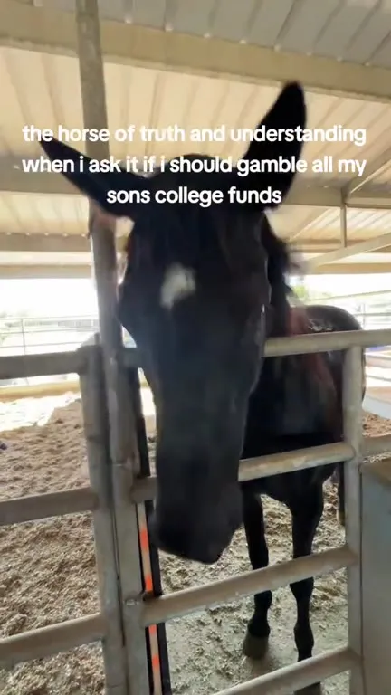Horse of Truth and Understanding