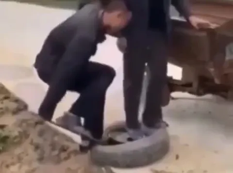 Неожиданная прогулка на шине