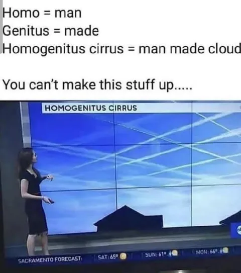 Homo Genitus Cloud Joke