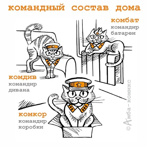 Командный состав дома