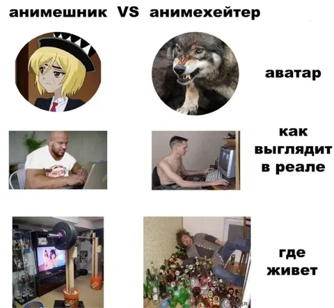 Анимешник против анимехейтера