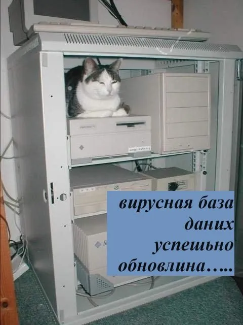 Вирусная база данных обновилась