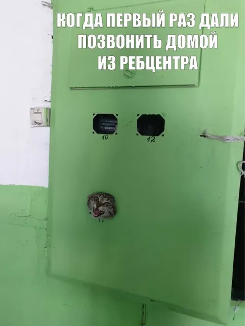 Первый звонок домой из Ребцентра