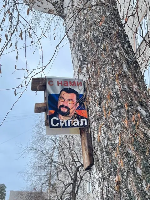 Сигал с нами на дереве