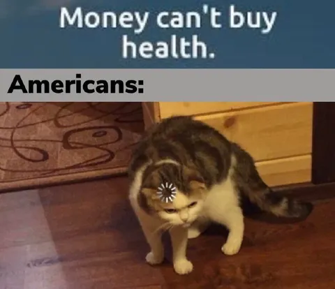Money Can't Buy Health Americans Cat