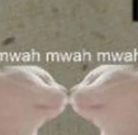Mwan Mwan Cat Reaction