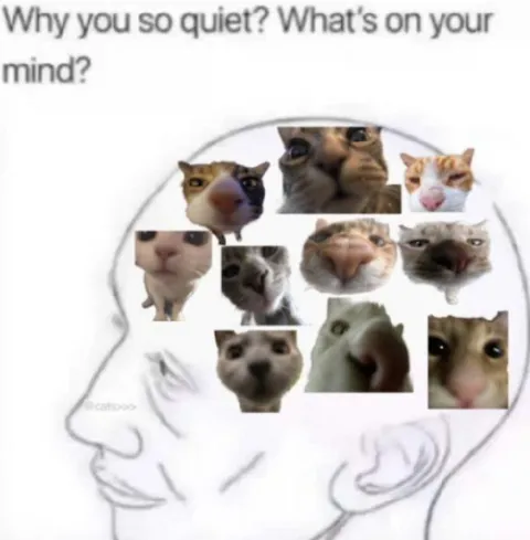 Cats Inside Your Mind