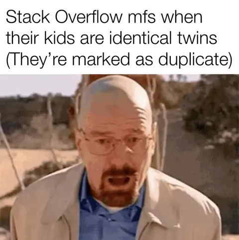 Stack Overflow Duplicate Twins