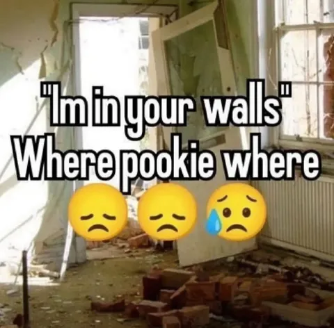 I'm in Your Walls Pookie