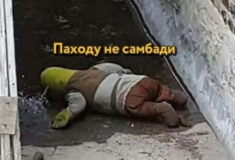 Пахожу не самбади