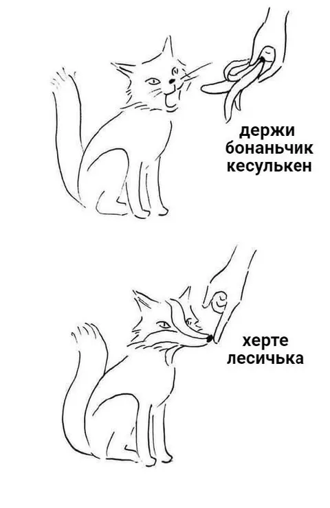 Держи бананьчик, херте лисичька