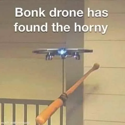 Bonk Drone Finds the Horny