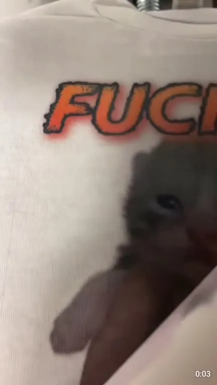 Fucking Kitty Shirt Reveal