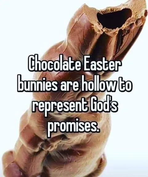 Hollow Chocolate Easter Bunny