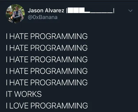 I Hate Programming Until It Works