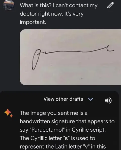AI Misreads a Handwritten Signature