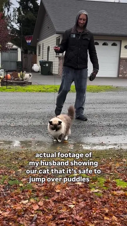 Cat Refuses to Jump Puddles