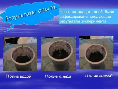 Результаты опыта с поливом