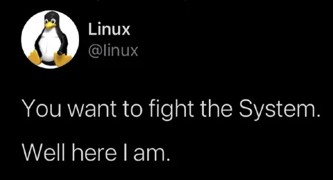 Linux Fights the System