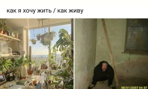 Как я хочу жить и как живу