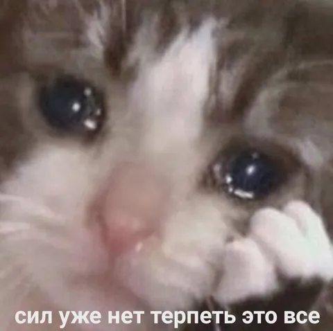 Сил уже нет терпеть это всё