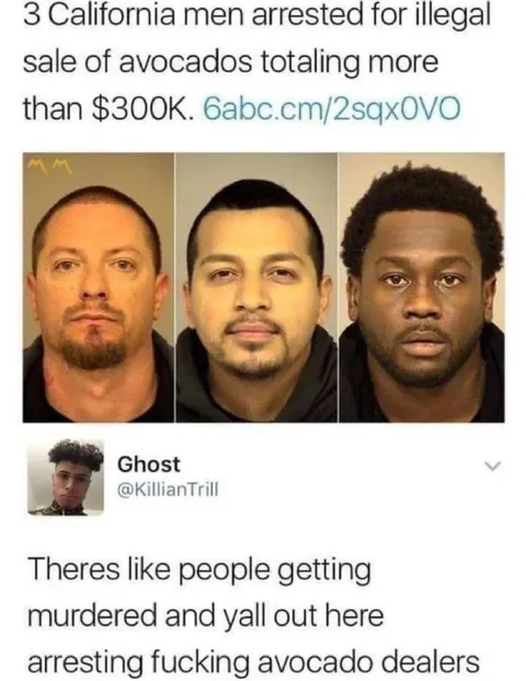Arresting Avocado Dealers