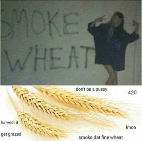 Smoke Wheat 420 Meme