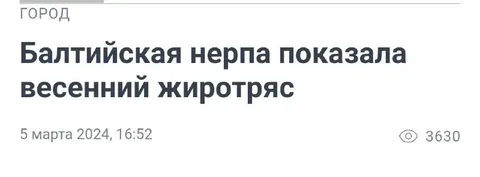 Балтийская нерпа показала жиротряс