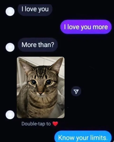 Know Your Limits Cat