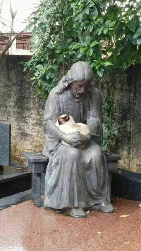 Статуя женщины с котом