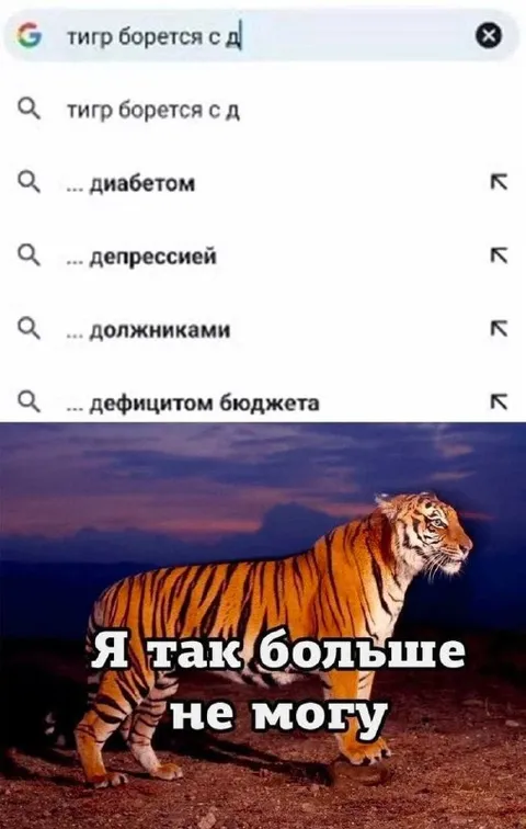 Тигр больше не может