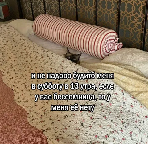 Не будите в субботу днём