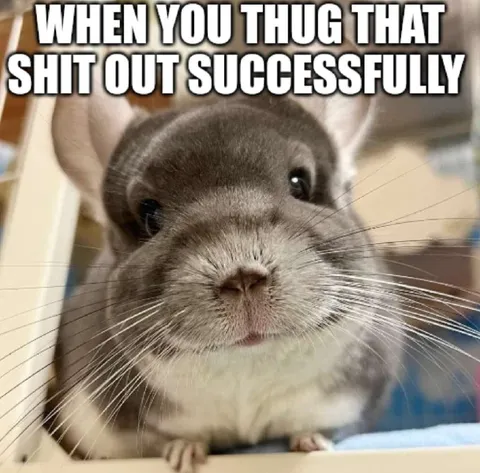 When You Thug That Shit Out Successfully