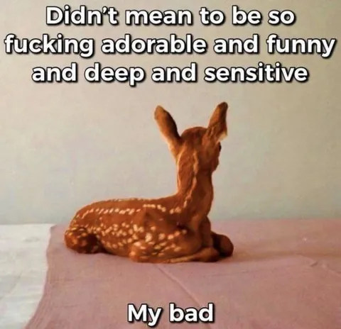 Didn’t Mean to Be Adorable