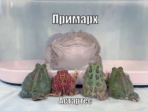 Примарх и его подданные