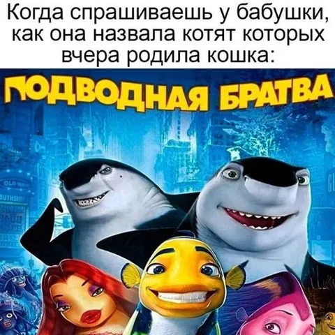 Бабушкины имена для котят
