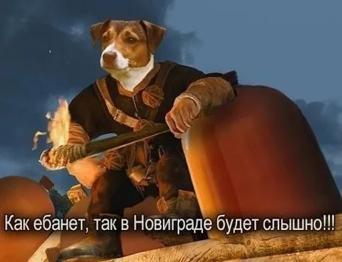 Как ебанет, так в Новиграде слышно