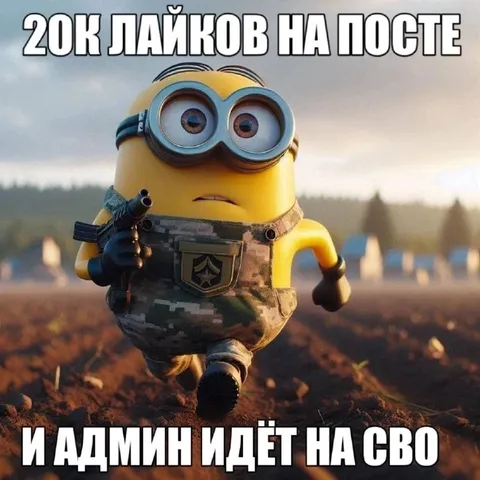 Миньон идёт на СВО