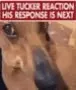 Tucker Reacts to the News