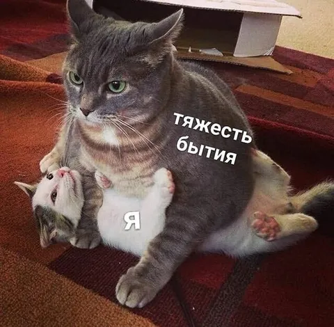 Тяжесть бытия