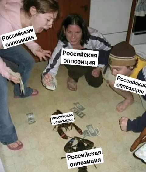 Российская оппозиция делит деньги