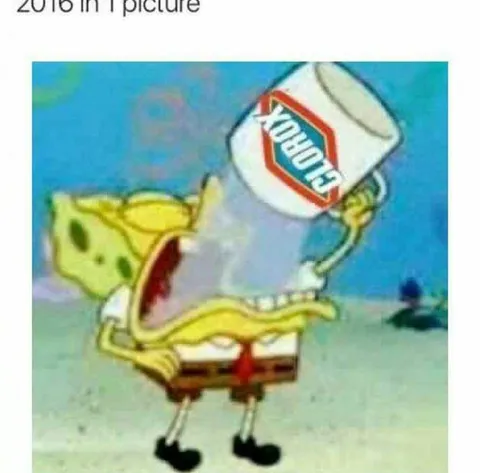 2016 in 1 Picture