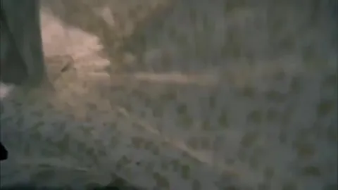 Результат труда на Wildberries