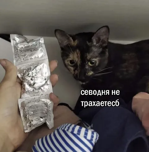 Сегодня не трахаетесь